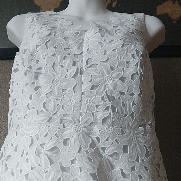 LOFT Lace Midi Dress - Picture 6 of 7